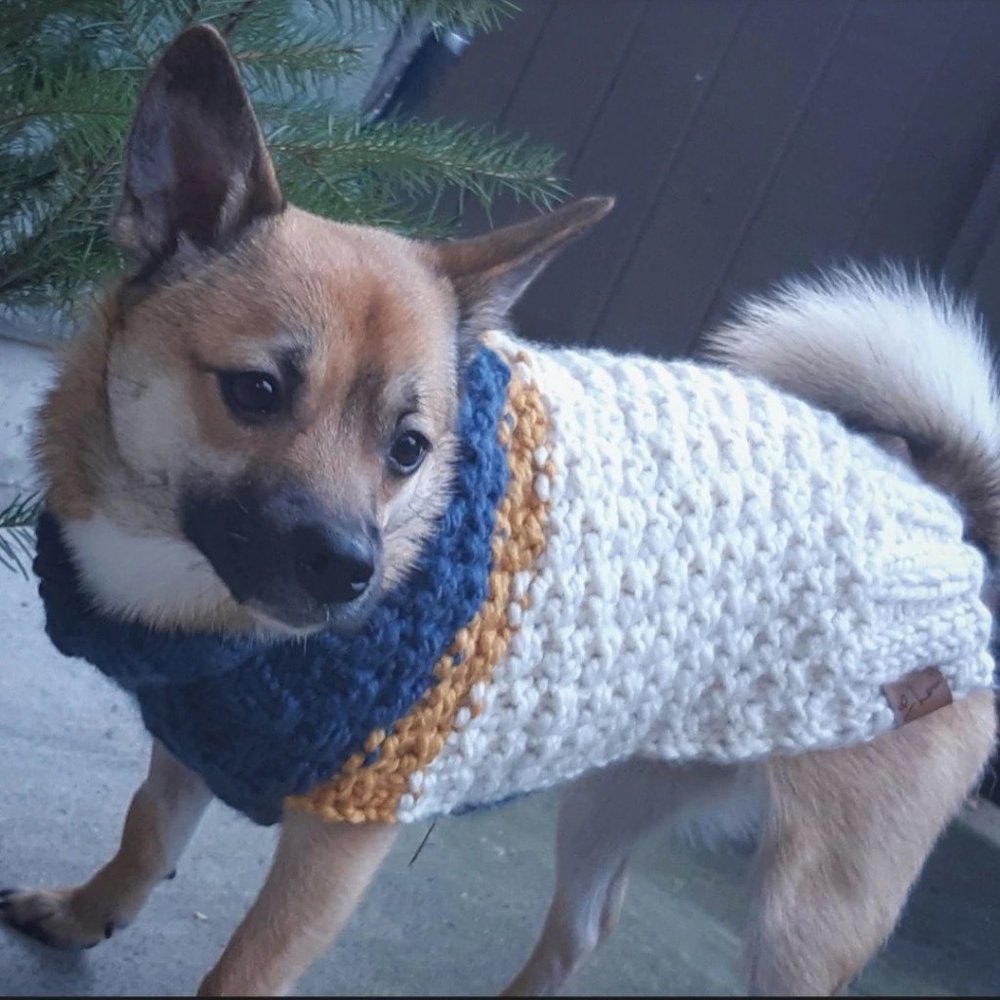 S '82 Deluxe Colorblock Wool Dog Sweater